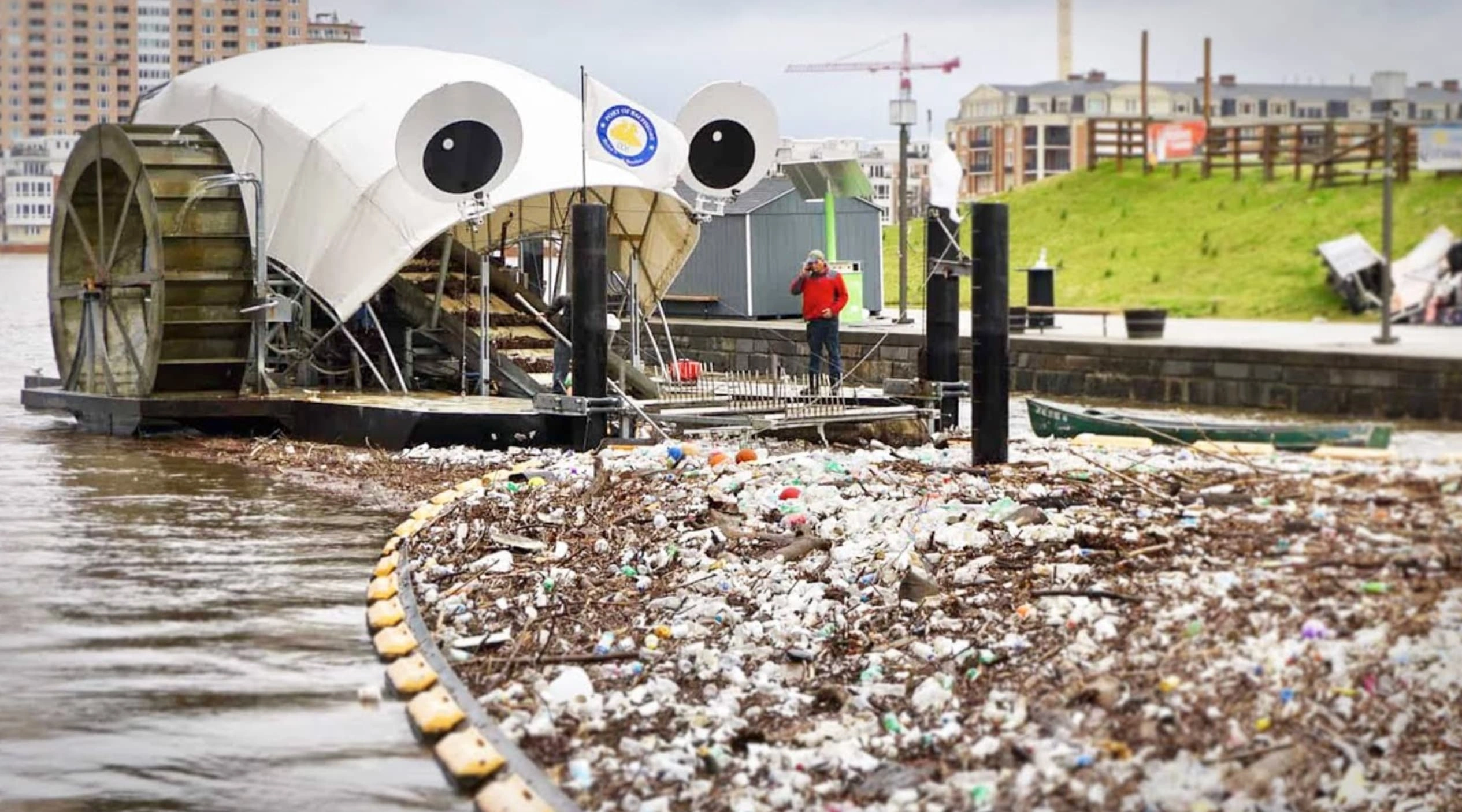 Dumpster Diving for Knowledge: 22 Trashy Facts to Fill Your Mental Landfill