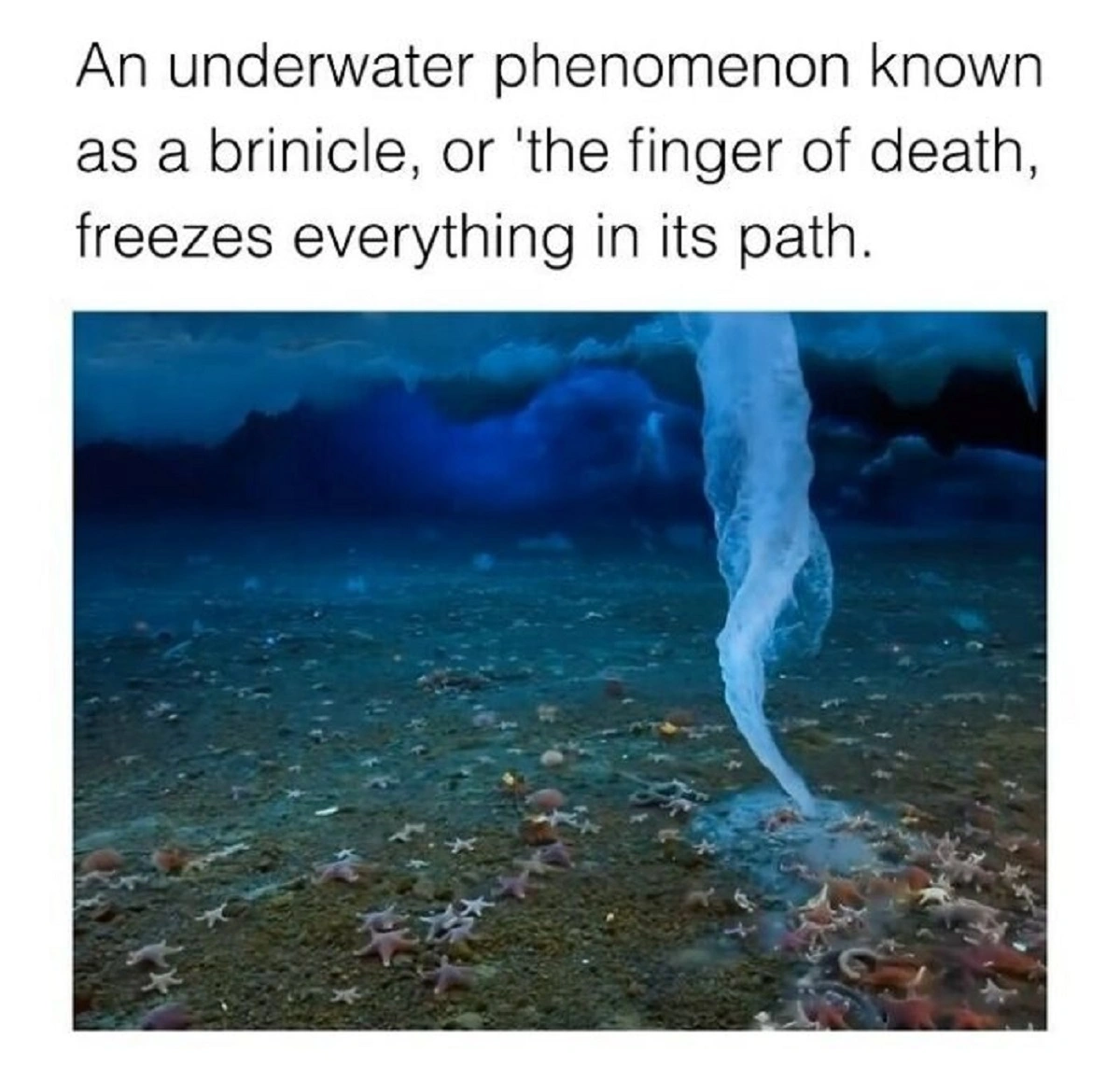 29 Captivating Images Captured Around the Globe