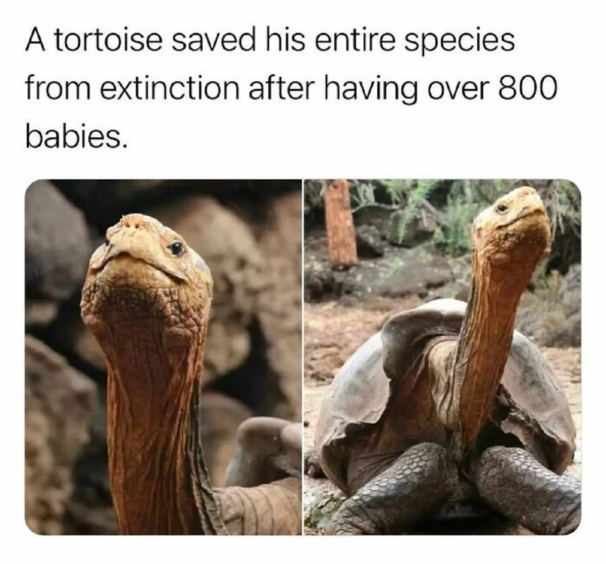 29 Captivating Images Captured Around the Globe