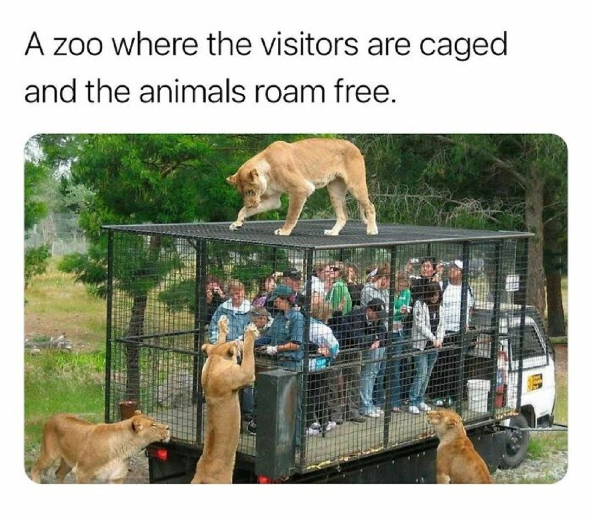 29 Captivating Images Captured Around the Globe