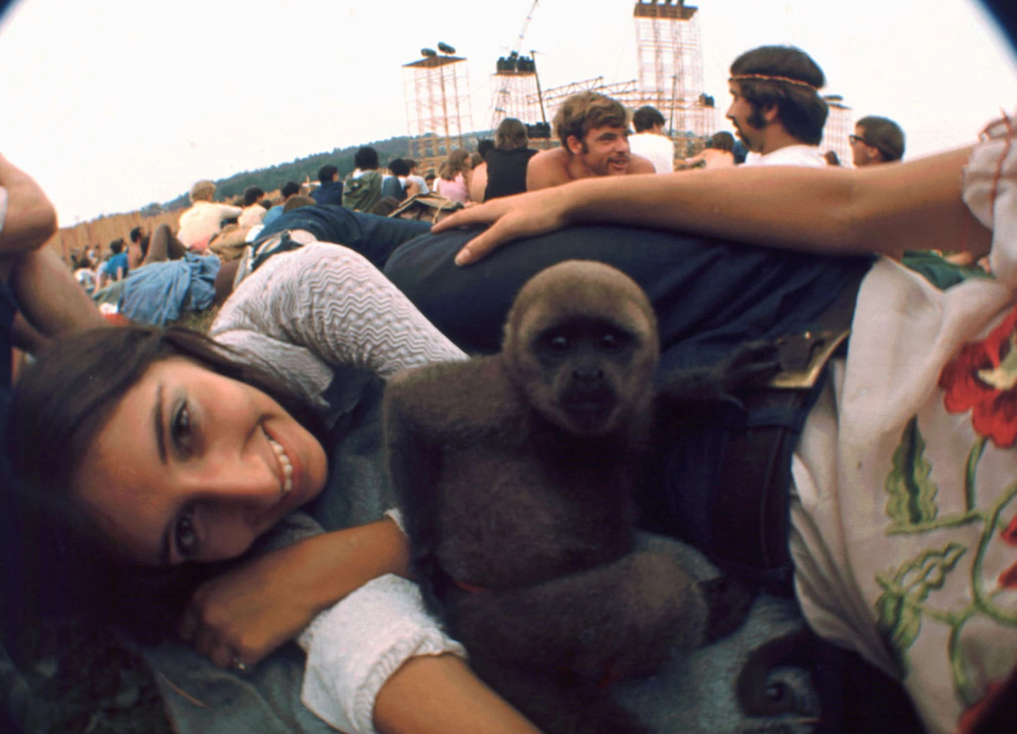 22 Retro-Styled Chimps We'd Love to Hang Out With