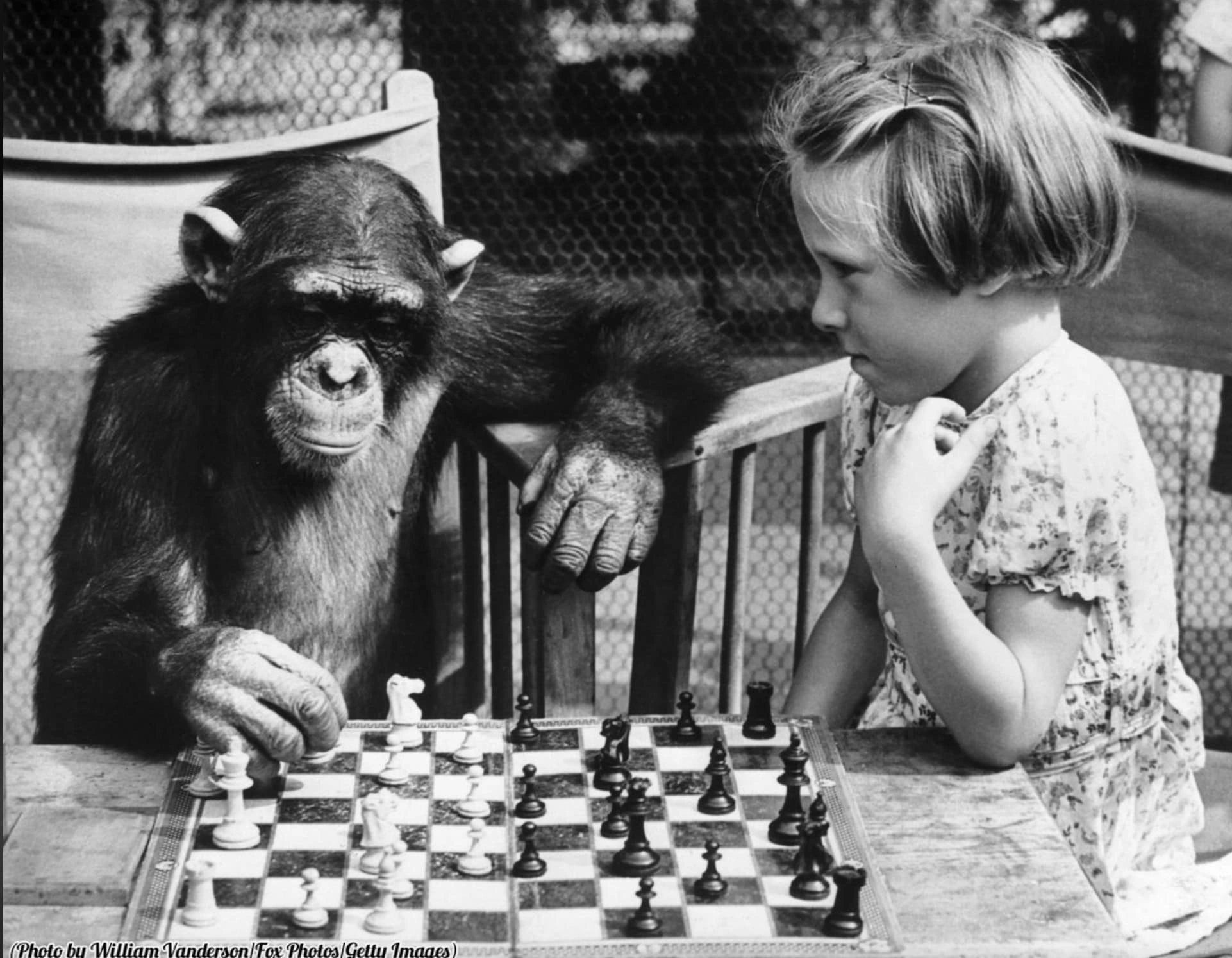 22 Retro-Styled Chimps We'd Love to Hang Out With