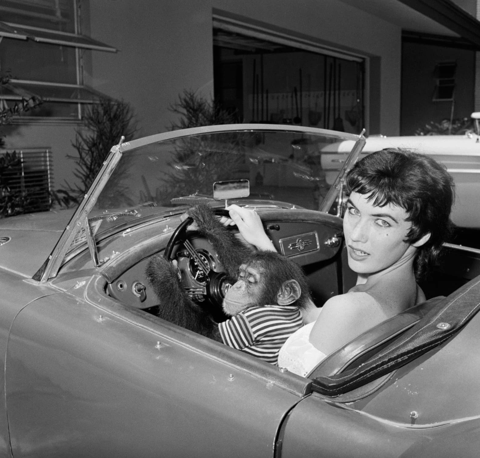 22 Retro-Styled Chimps We'd Love to Hang Out With