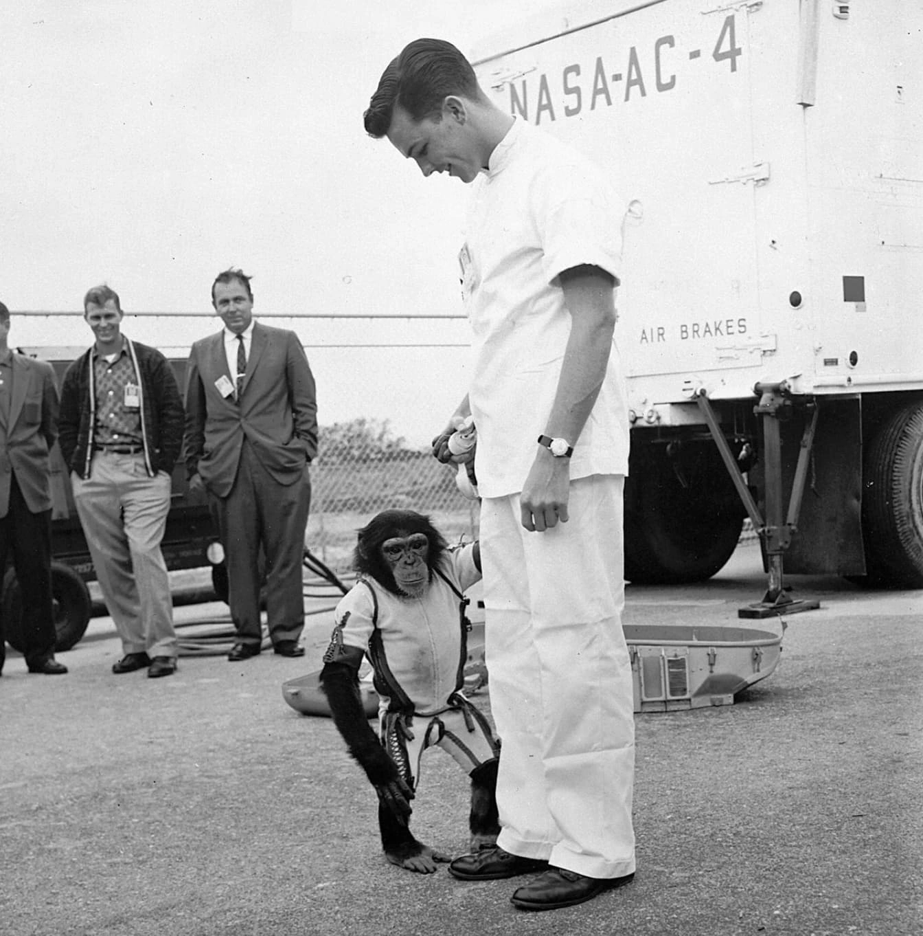 22 Retro-Styled Chimps We'd Love to Hang Out With