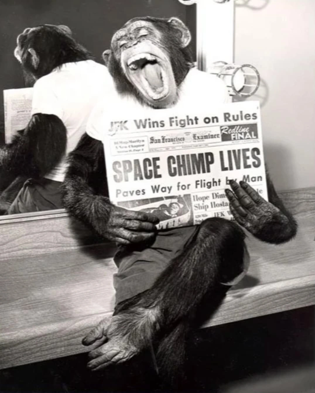 22 Retro-Styled Chimps We'd Love to Hang Out With