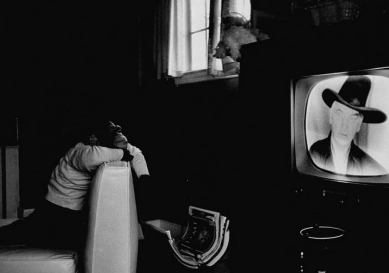 22 Retro-Styled Chimps We'd Love to Hang Out With