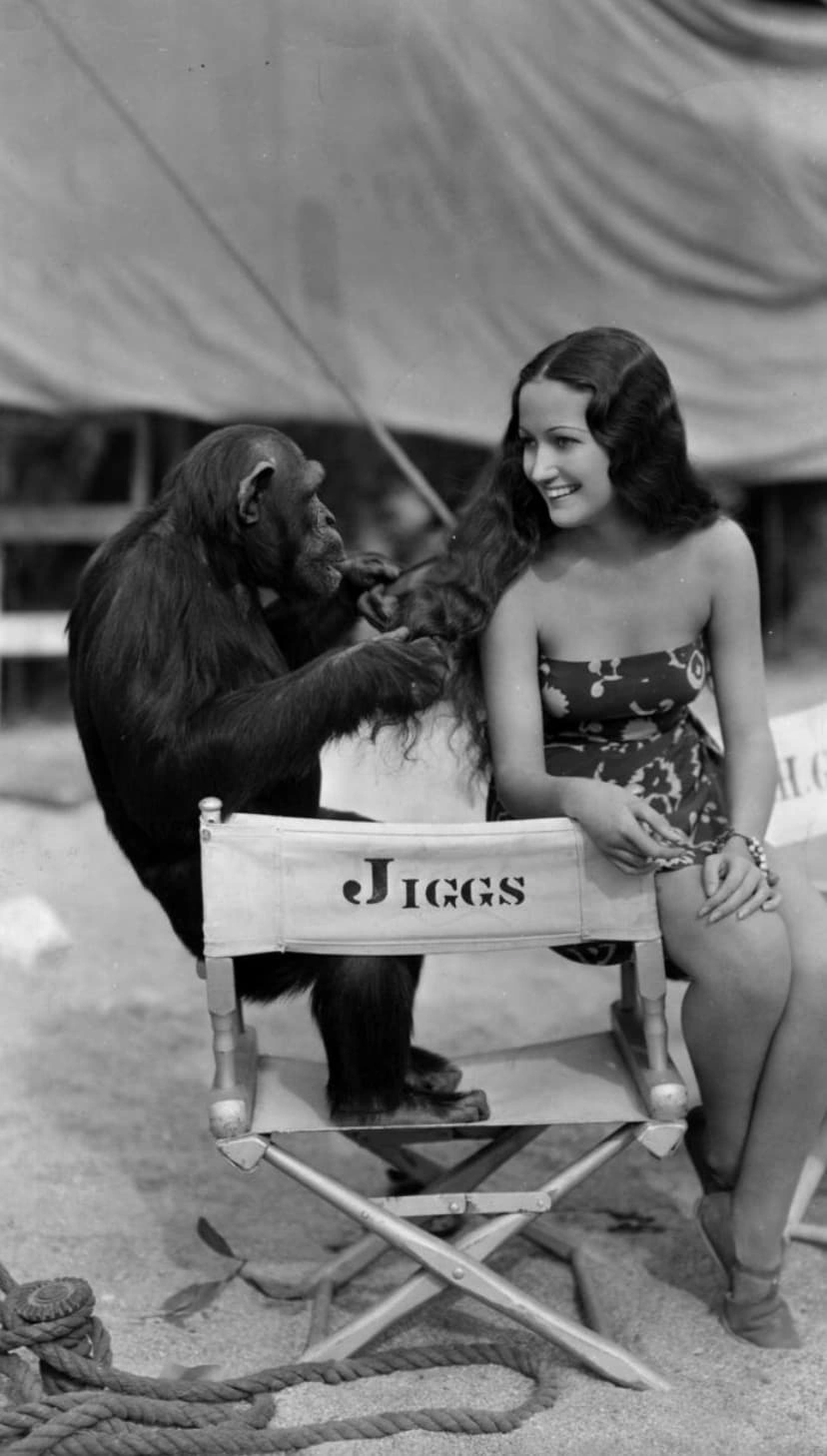 22 Retro-Styled Chimps We'd Love to Hang Out With