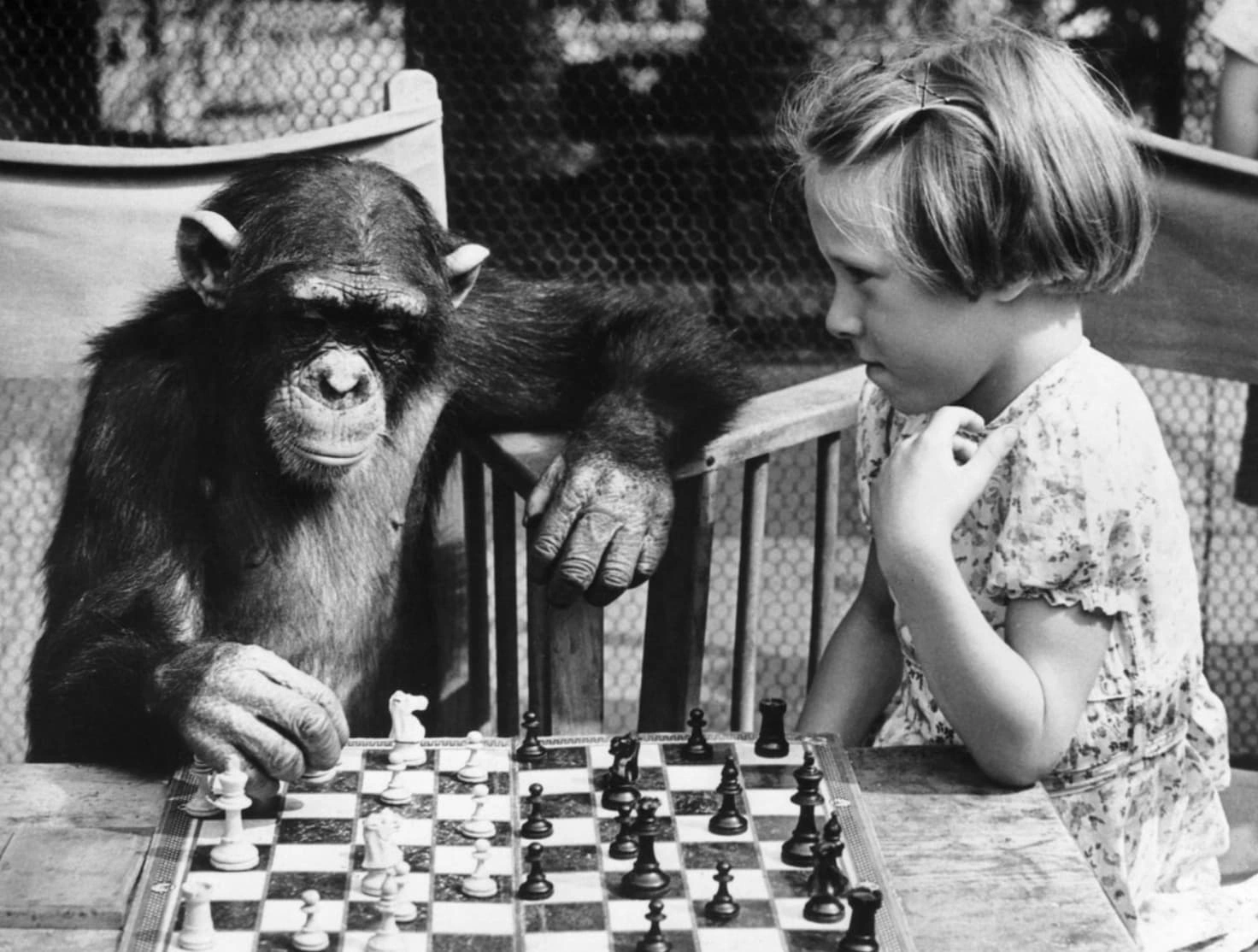 22 Retro-Styled Chimps We'd Love to Hang Out With