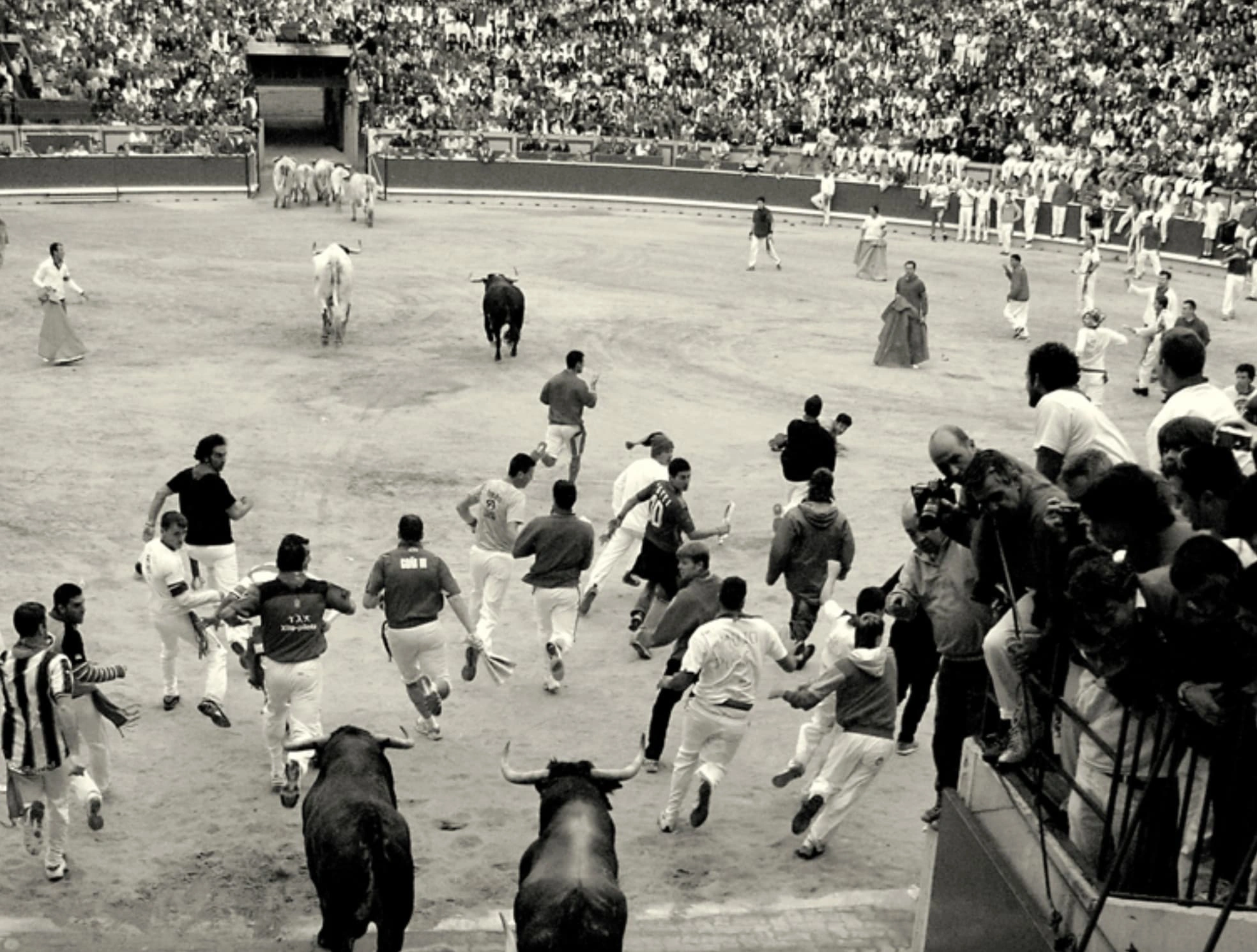 Capturing the Thrill: 20 Monochrome Images of Bull Runners in Action