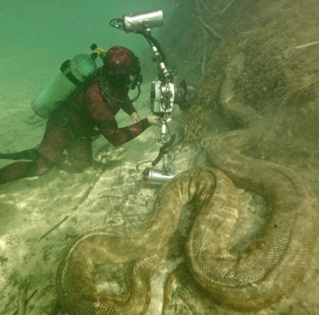 21 Fascinating Amazon Creatures Eager to Encounter You
