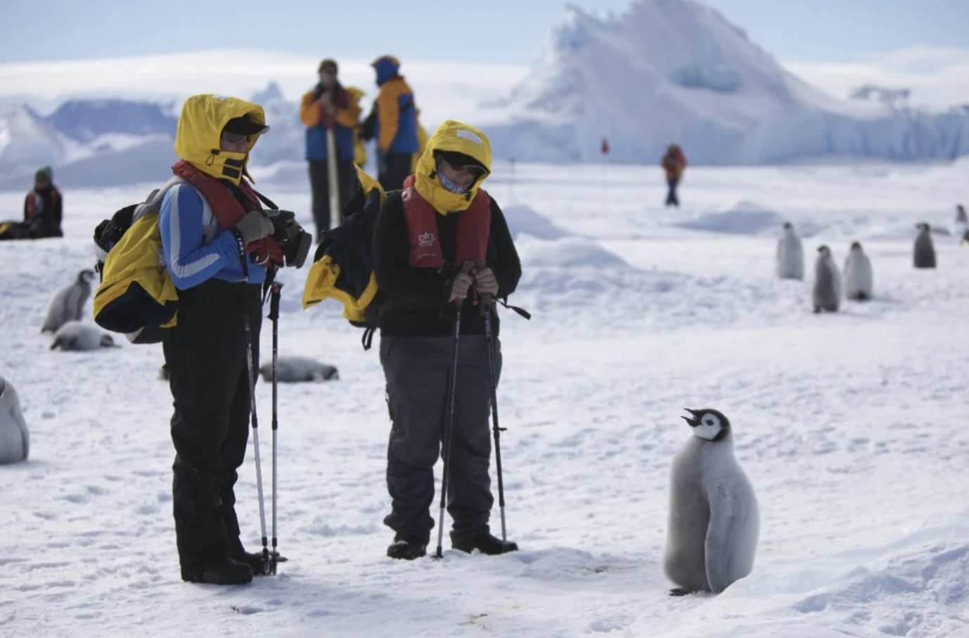 26 Stunning Images of the Chilling Beauty of Antarctica