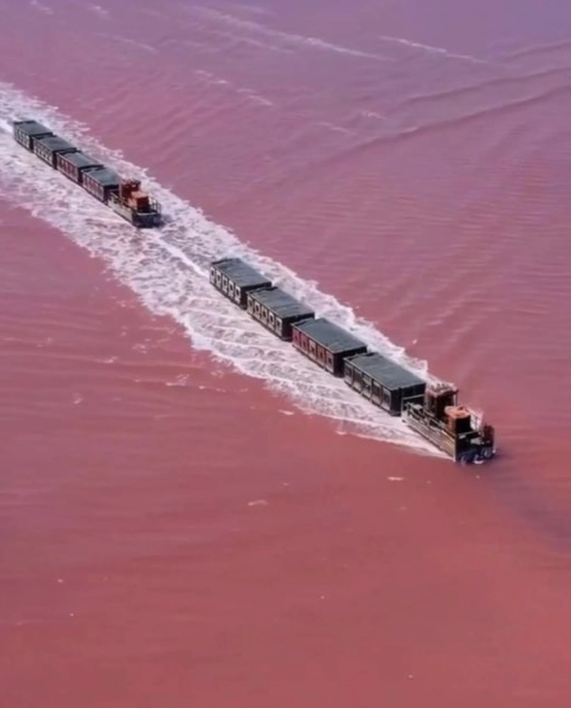 21 Entertaining Pictures to Brighten Your Day