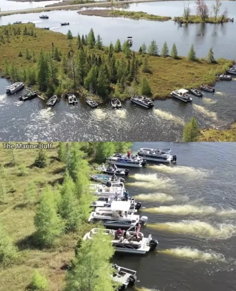 21 Entertaining Pictures to Brighten Your Day