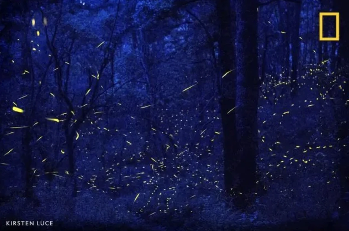 21 Entertaining Pictures to Brighten Your Day