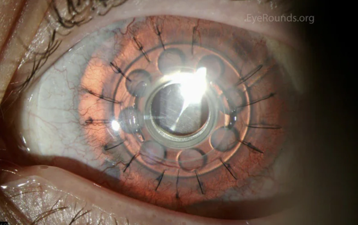 21 Entertaining Pictures to Brighten Your Day