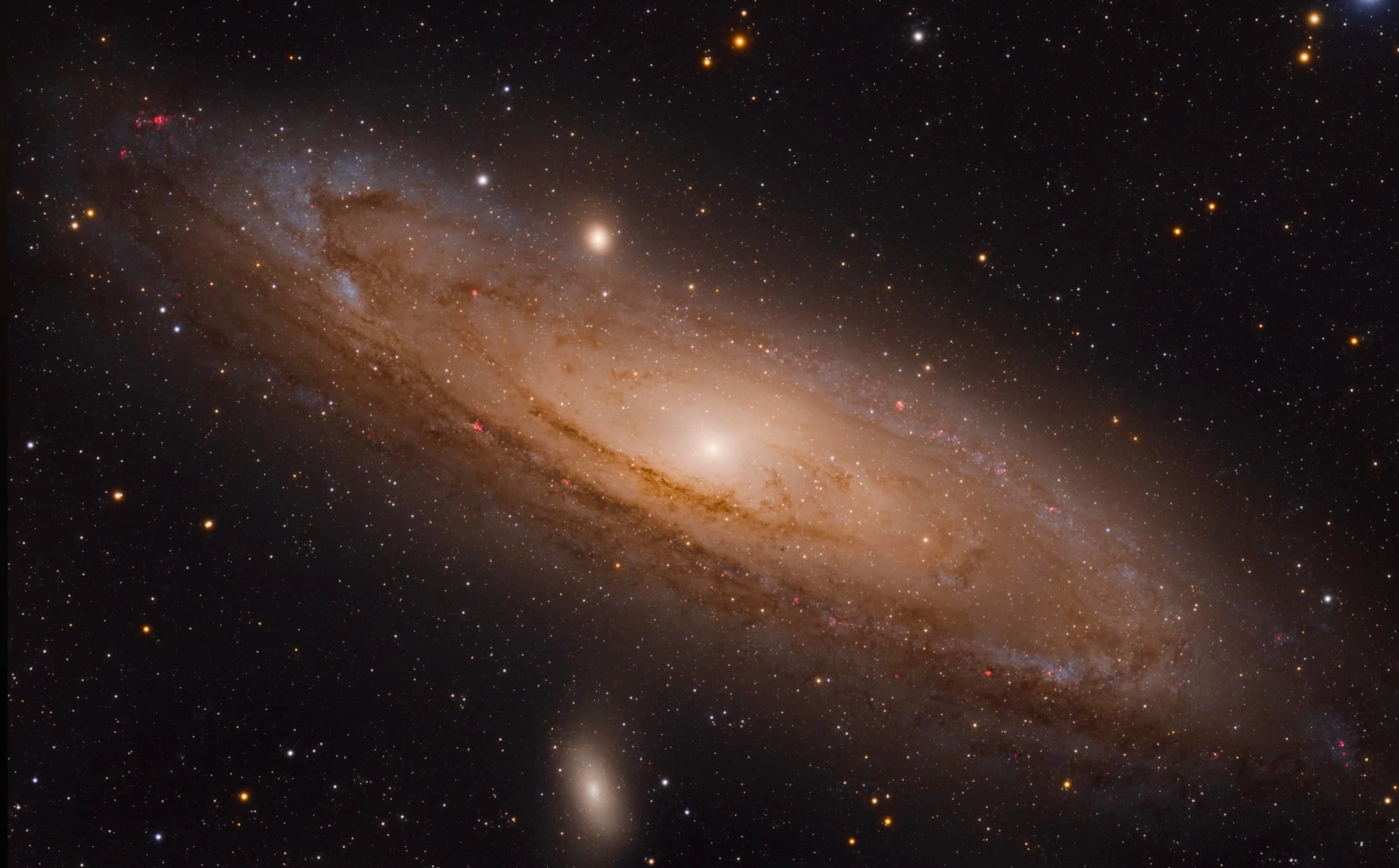 20 Breathtaking Images of the Andromeda Galaxy