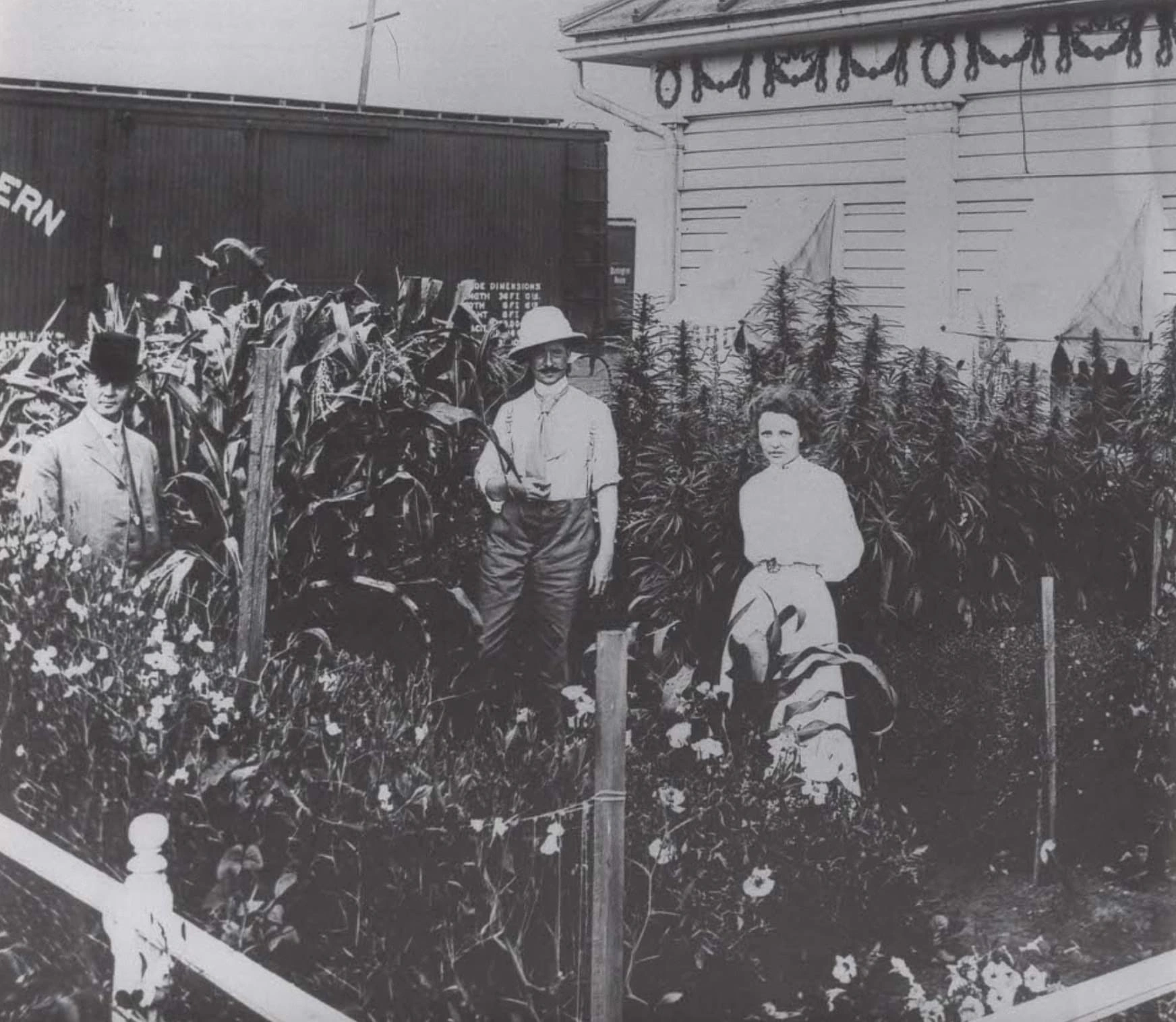 Exploring the Past: 23 Captivating Images of Traditional Cannabis Cultivators