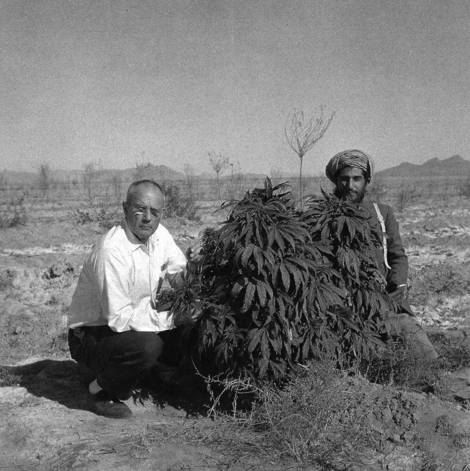 Exploring the Past: 23 Captivating Images of Traditional Cannabis Cultivators