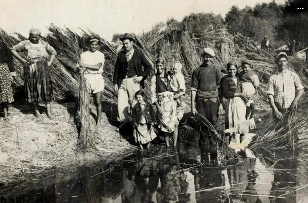 Exploring the Past: 23 Captivating Images of Traditional Cannabis Cultivators