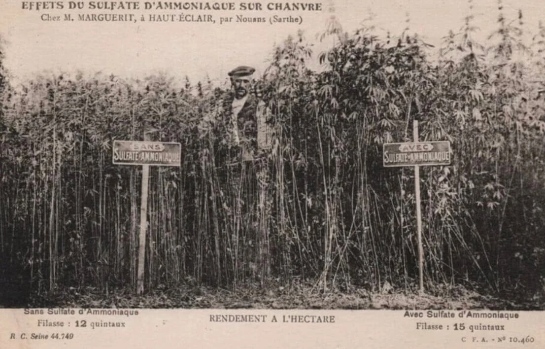 Exploring the Past: 23 Captivating Images of Traditional Cannabis Cultivators