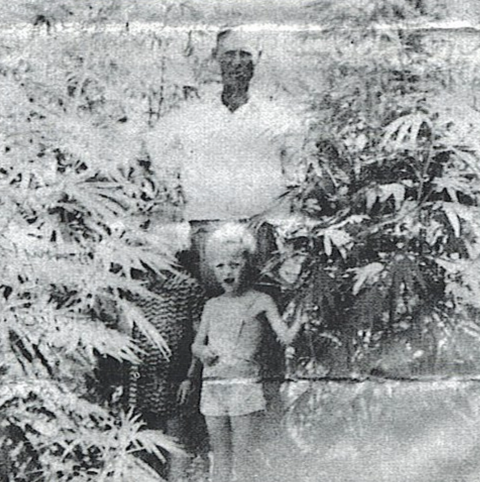 Exploring the Past: 23 Captivating Images of Traditional Cannabis Cultivators
