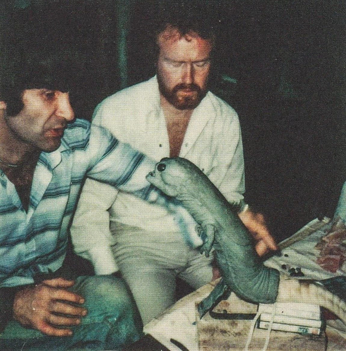 48 Images from the Classic Film 'Alien' to Take You Back to the Beginning