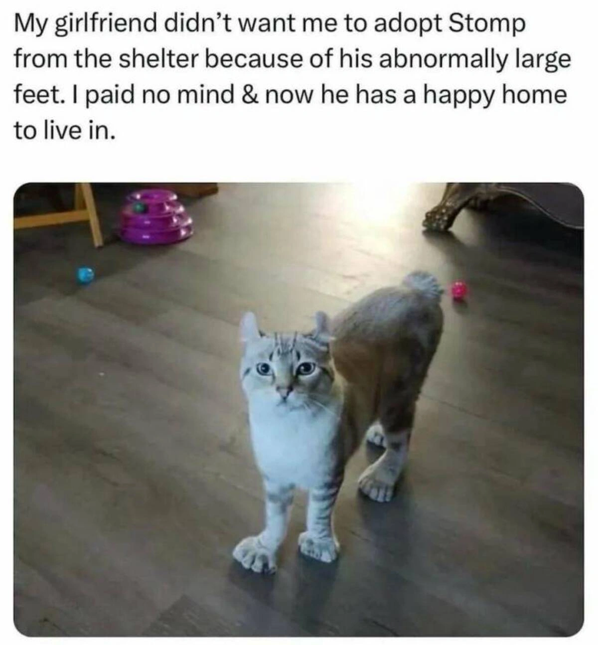 33 Hilarious Memes and Entertaining Pics to Brighten Your Day