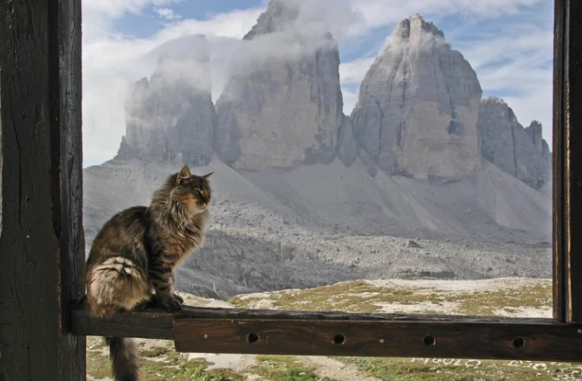 20 Captivating Images to Kickstart Your Weekend