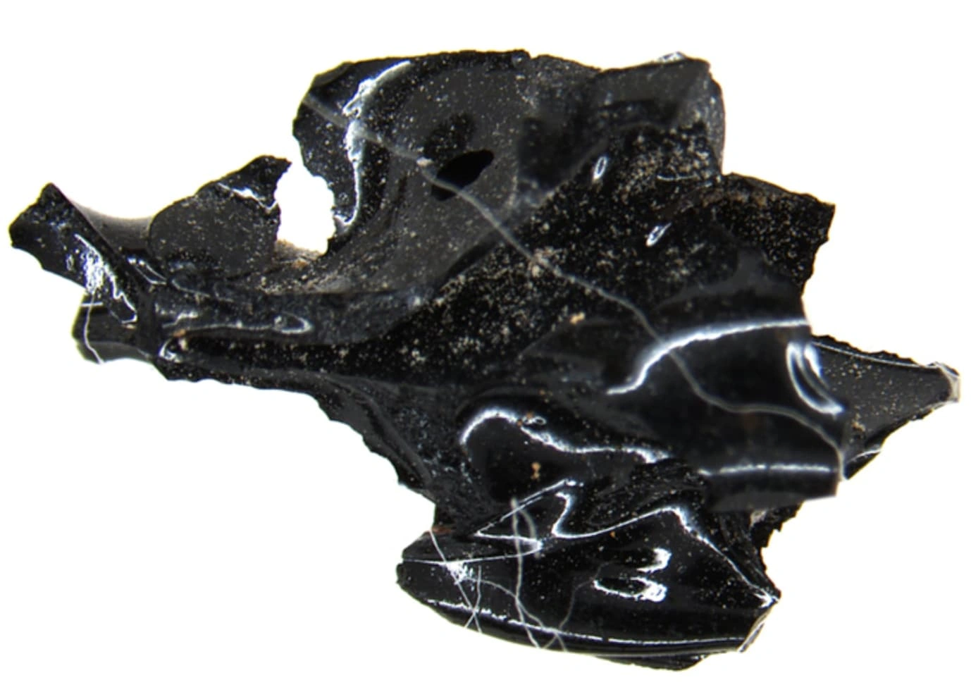 Discover 20 Mind-Blowing Facts About Your Brain