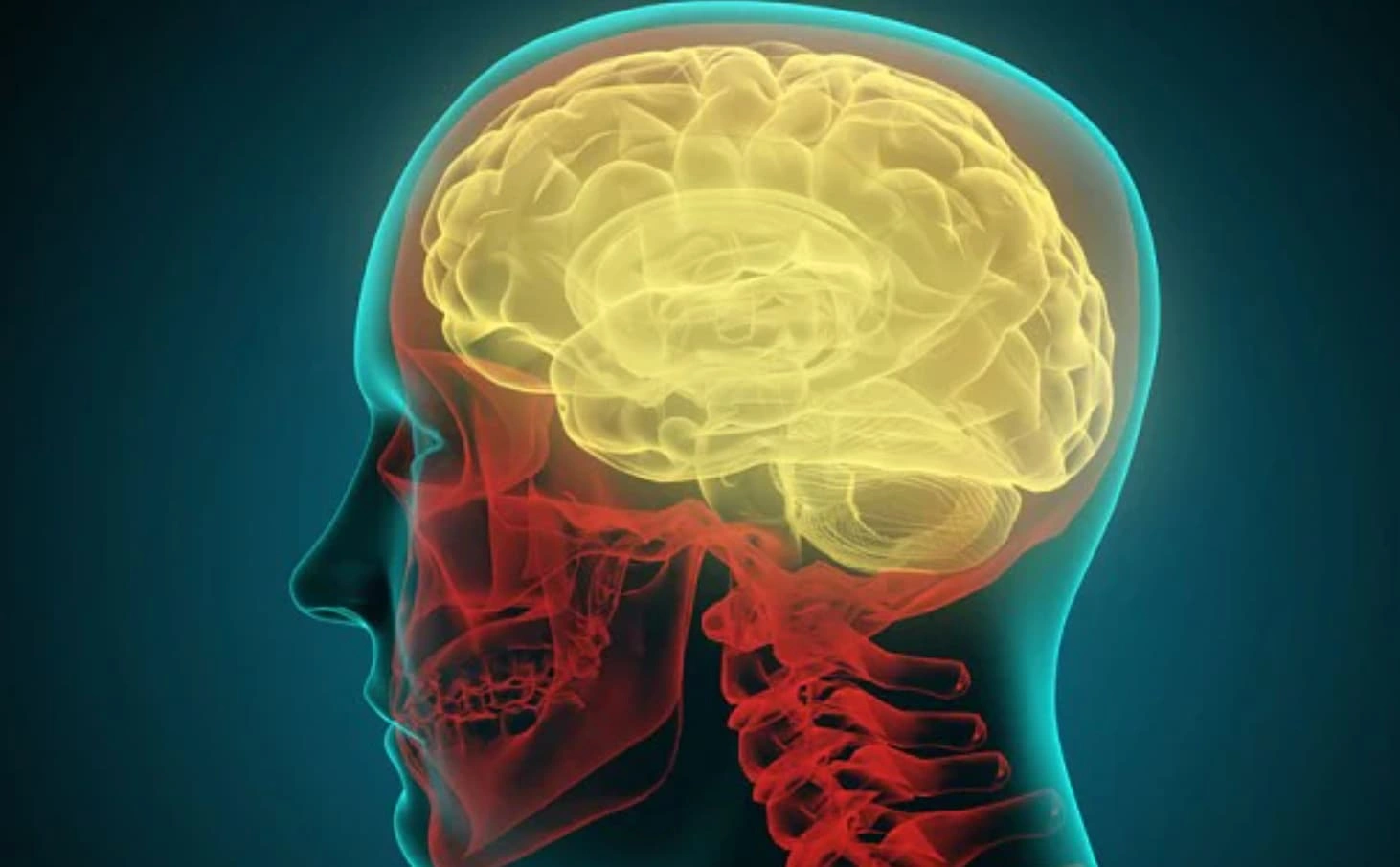 Discover 20 Mind-Blowing Facts About Your Brain