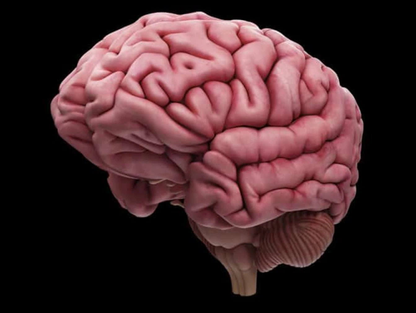 Discover 20 Mind-Blowing Facts About Your Brain