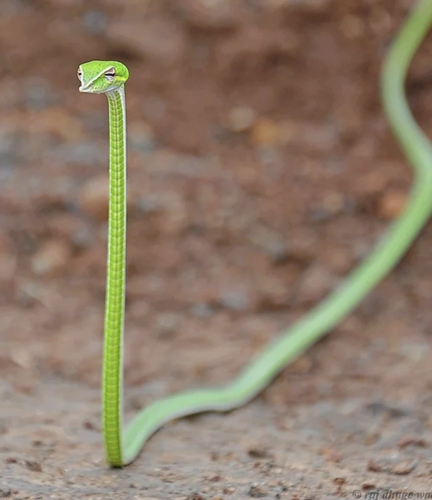 23 Captivating Images Captured Across the Globe in the Past Week