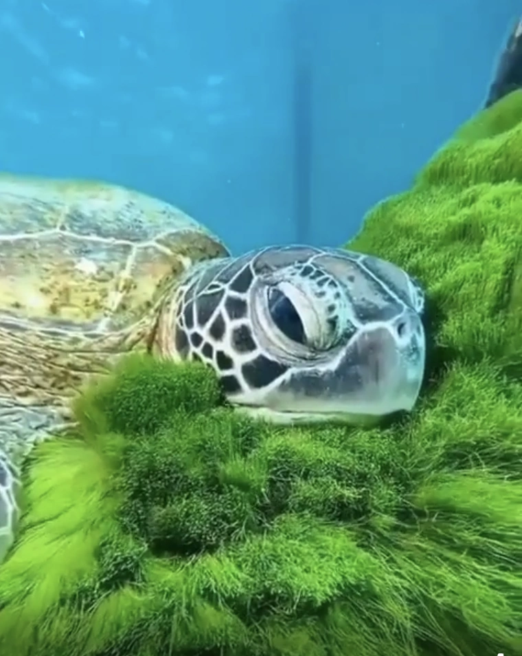 22 Mouthwatering Photos to Satisfy Your Friday Fries Cravings