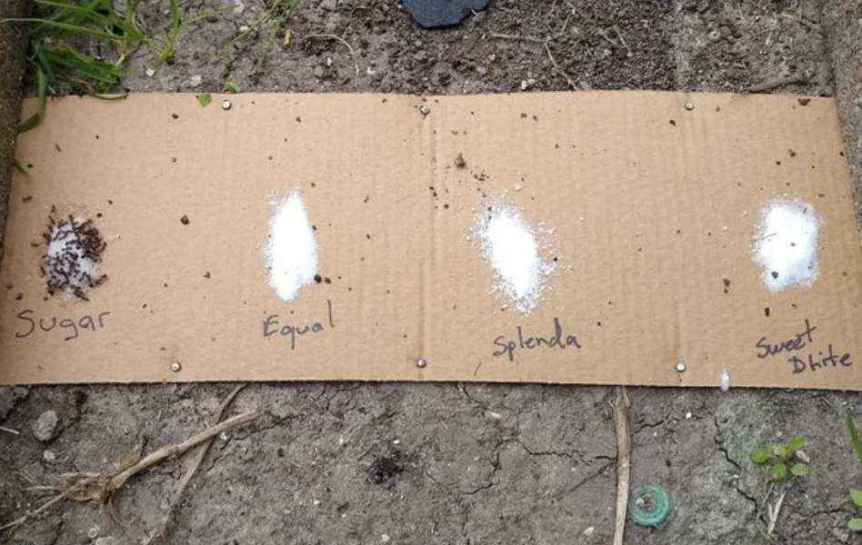 22 Mouthwatering Photos to Satisfy Your Friday Fries Cravings