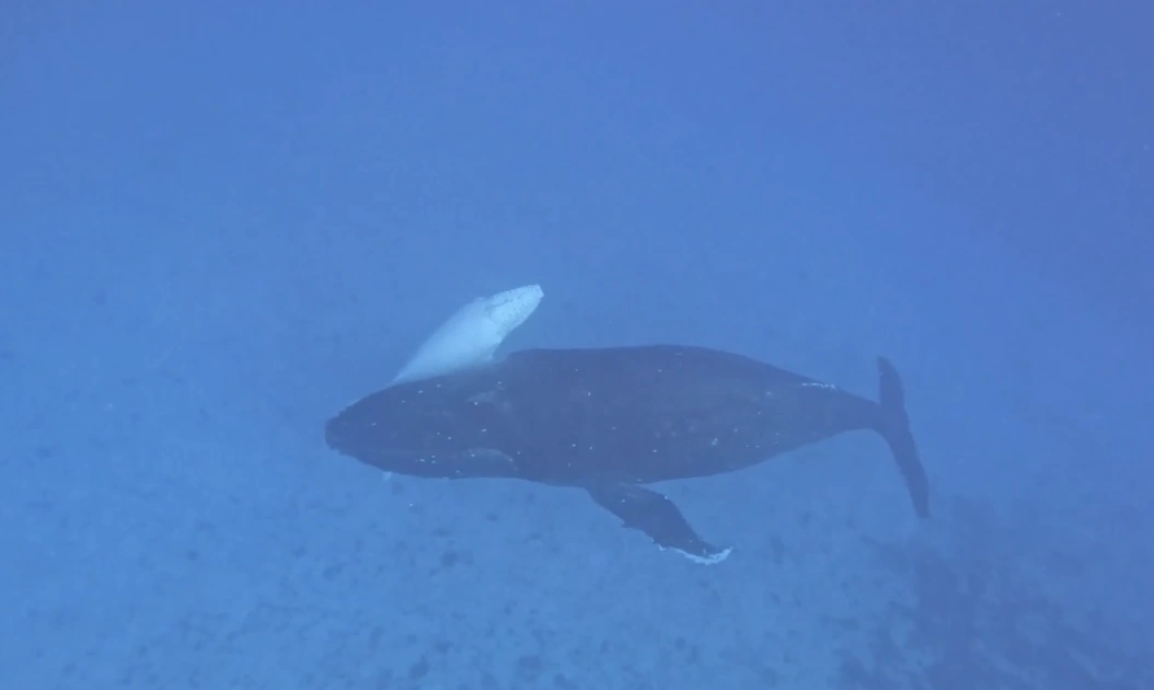 22 Mouthwatering Photos to Satisfy Your Friday Fries Cravings