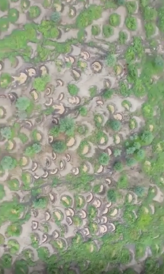 22 Mouthwatering Photos to Satisfy Your Friday Fries Cravings