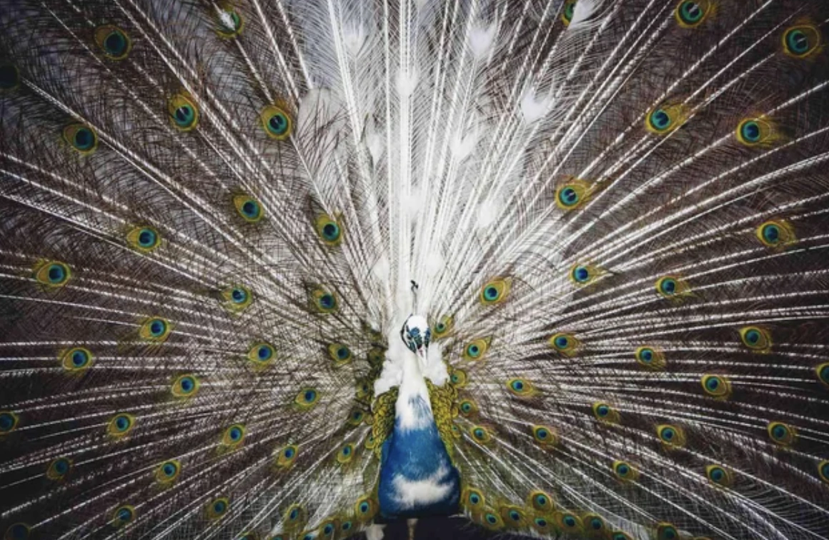 22 Mouthwatering Photos to Satisfy Your Friday Fries Cravings