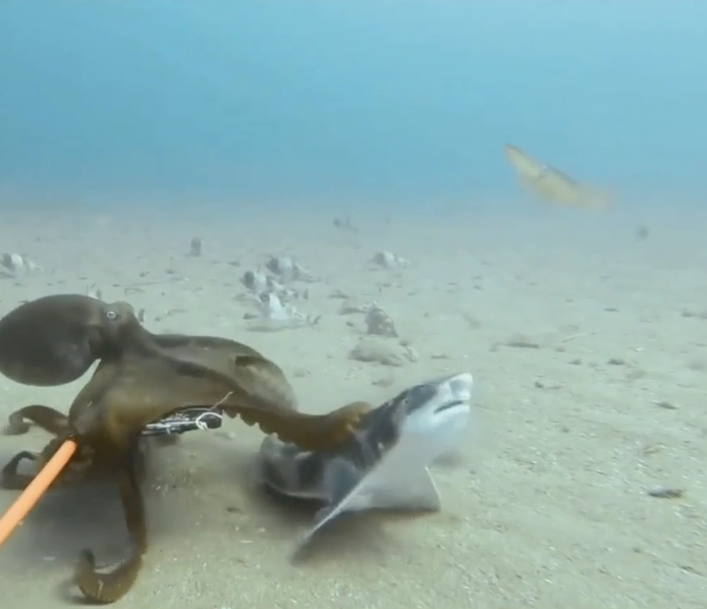 22 Mouthwatering Photos to Satisfy Your Friday Fries Cravings