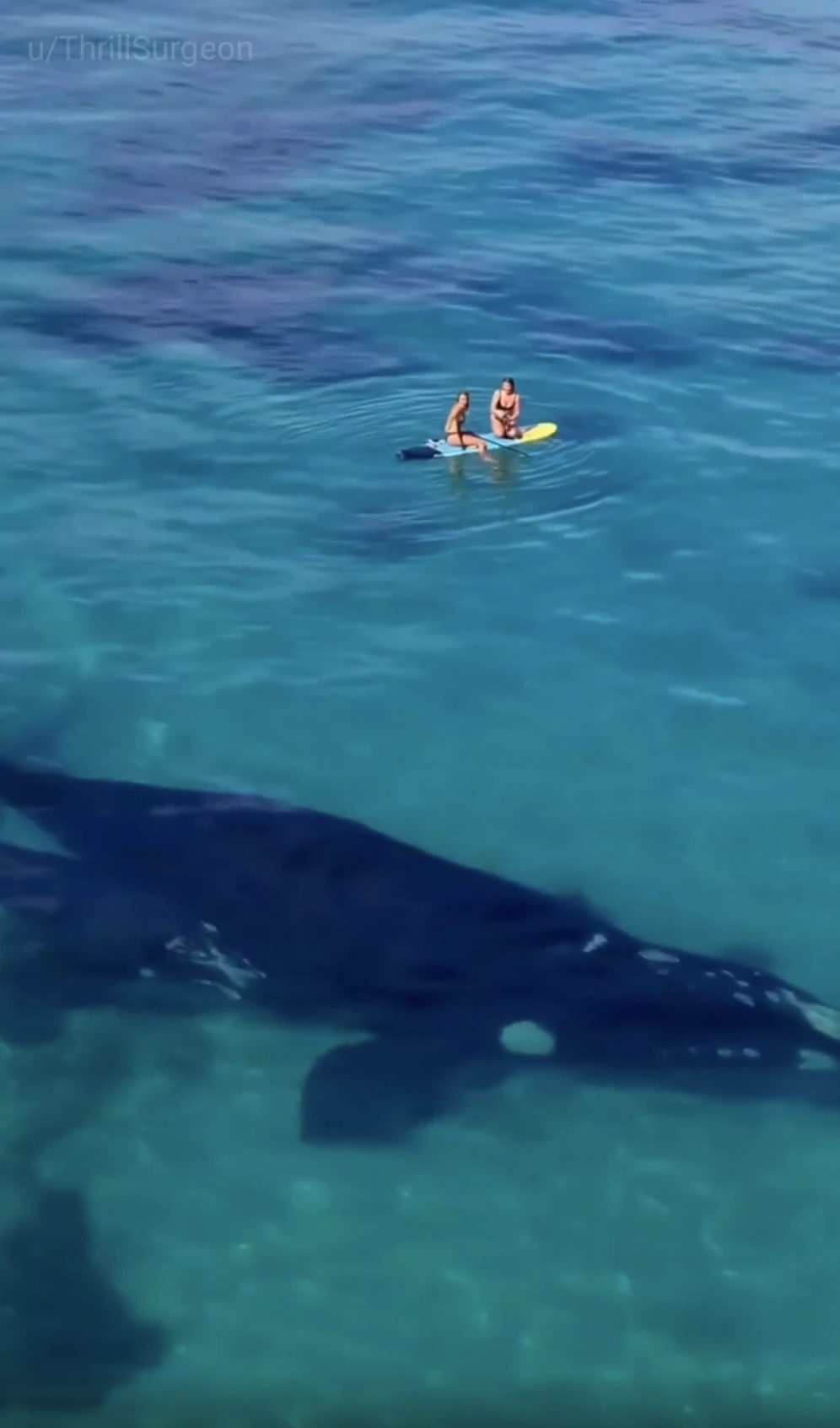 21 Captivating Images to Fuel Your Late-Night Inspiration