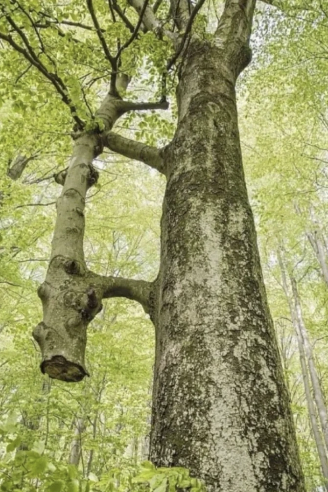 21 Captivating Images to Fuel Your Late-Night Inspiration