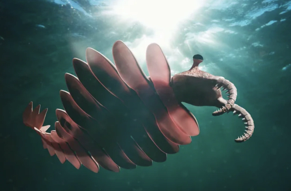 21 Captivating Images to Fuel Your Late-Night Inspiration