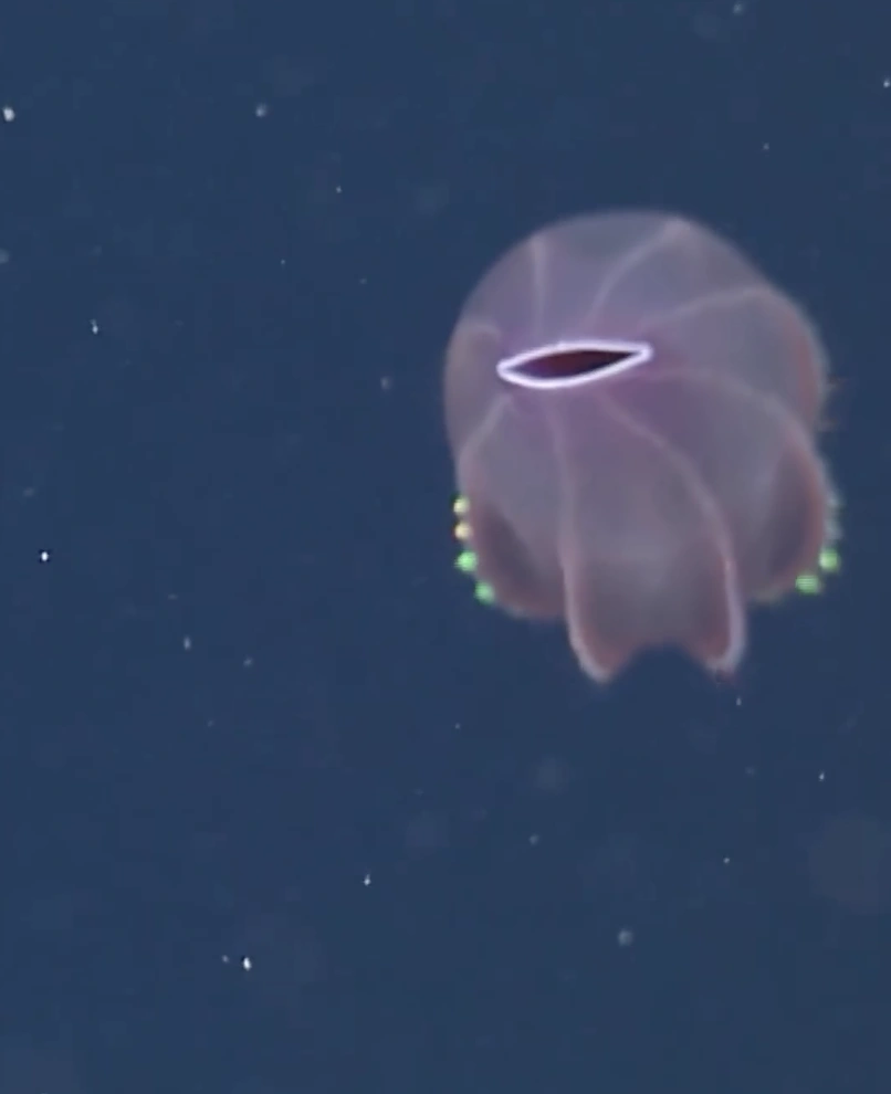 Exploring the Wonders of Our World: 22 Captivating Images