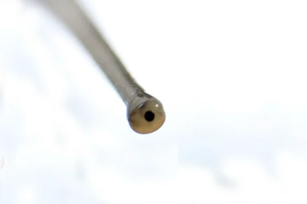 Exploring the Wonders of Our World: 22 Captivating Images