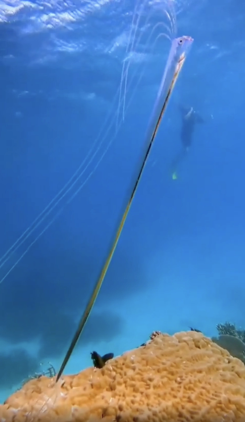 Exploring the Wonders of Our World: 22 Captivating Images