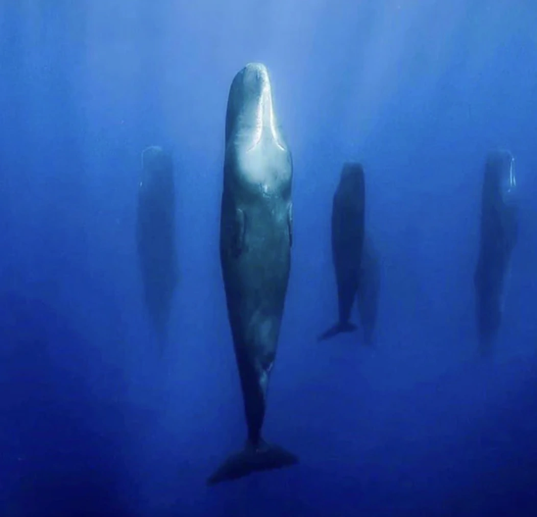 Exploring the Wonders of Our World: 22 Captivating Images