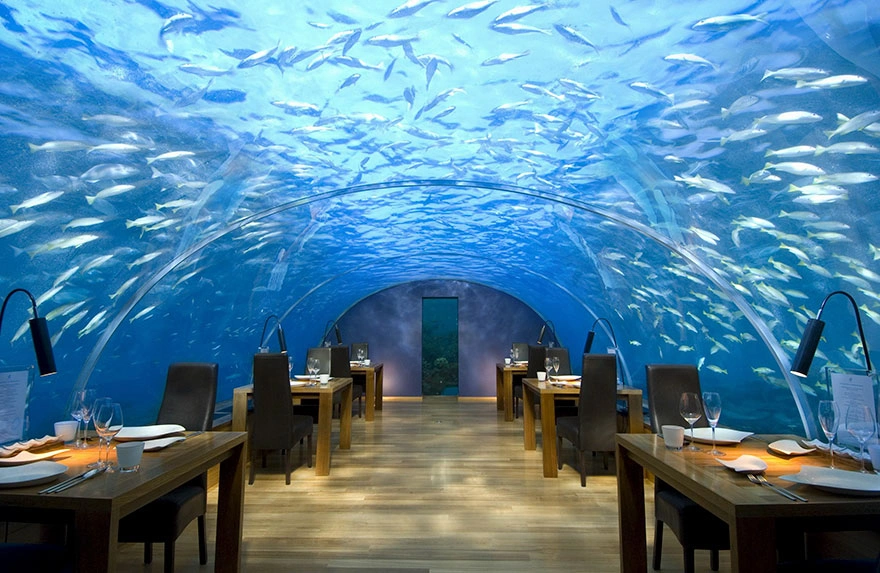 19 Unique Restaurants that Provide an Unforgettable Dining Experience