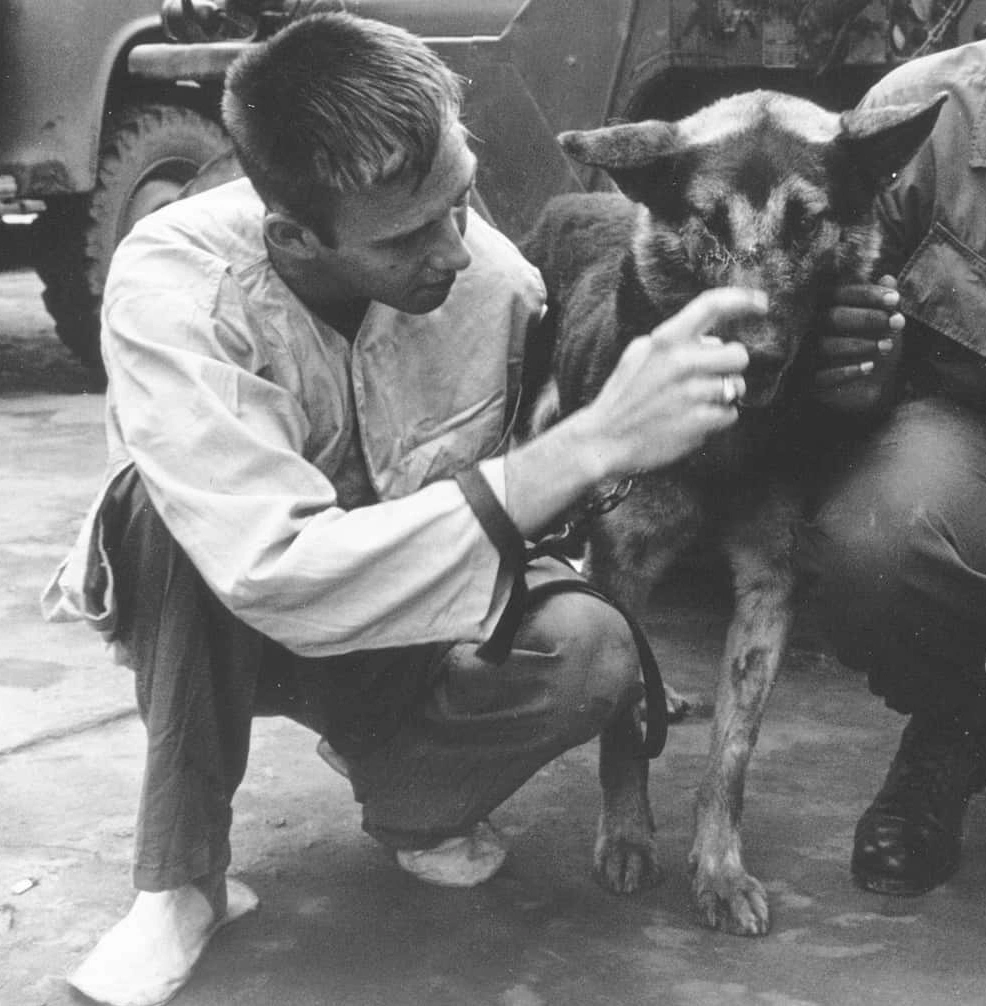 The Top 15 Most Honored Animals in Military History