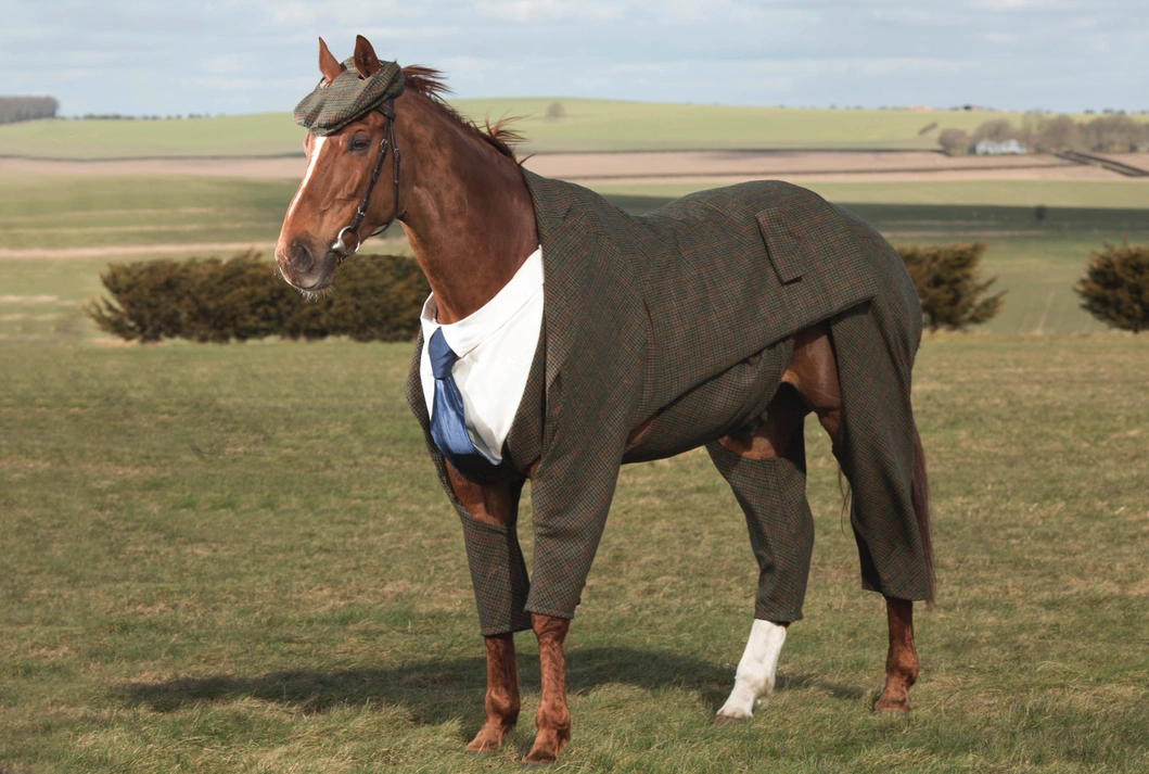 21 Elegantly Attired Equines Throughout History