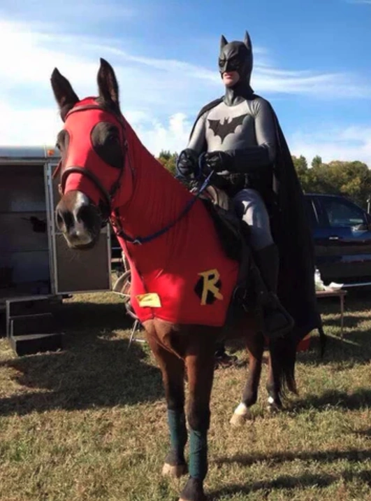 21 Elegantly Attired Equines Throughout History