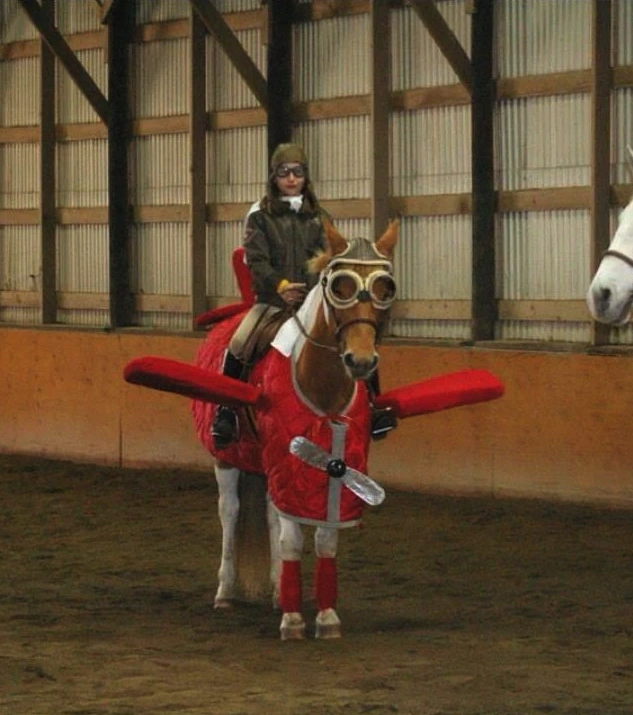 21 Elegantly Attired Equines Throughout History